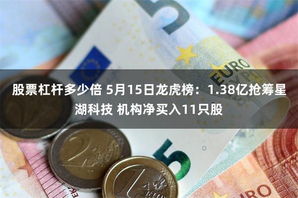 股票杠杆多少倍 5月15日龙虎榜：1.38亿抢筹星湖科技 机构净买入11只股