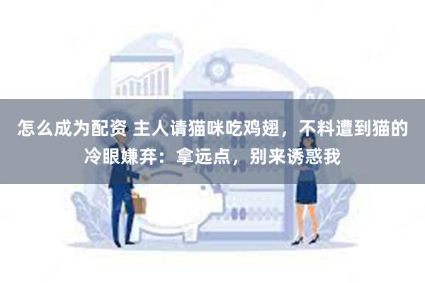 怎么成为配资 主人请猫咪吃鸡翅，不料遭到猫的冷眼嫌弃：拿远点，别来诱惑我