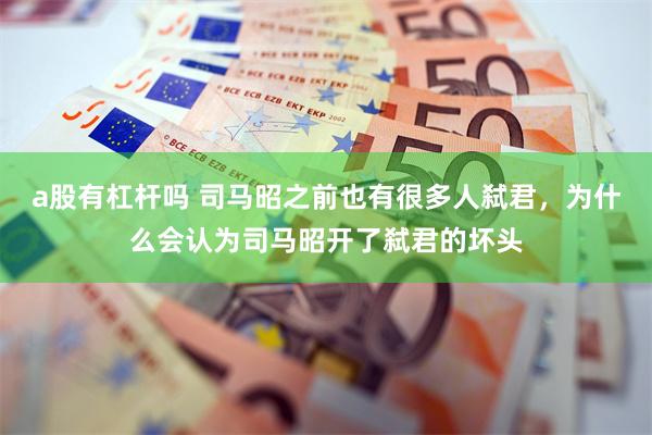 a股有杠杆吗 司马昭之前也有很多人弑君，为什么会认为司马昭开了弑君的坏头