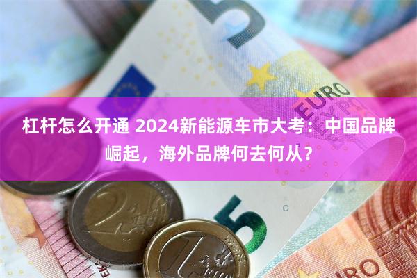 杠杆怎么开通 2024新能源车市大考：中国品牌崛起，海外品牌何去何从？