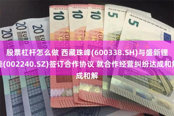股票杠杆怎么做 西藏珠峰(600338.SH)与盛新锂能(002240.SZ)签订合作协议 就合作经营纠纷达成和解