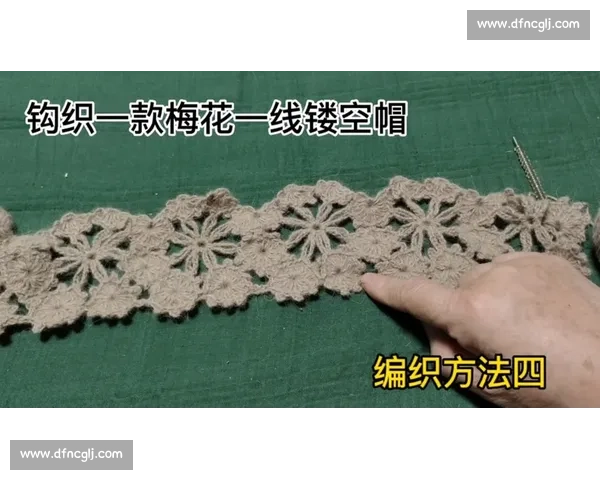 退休刘姐手工大梅花帽子详细视频教程全新改进版制作技巧点评